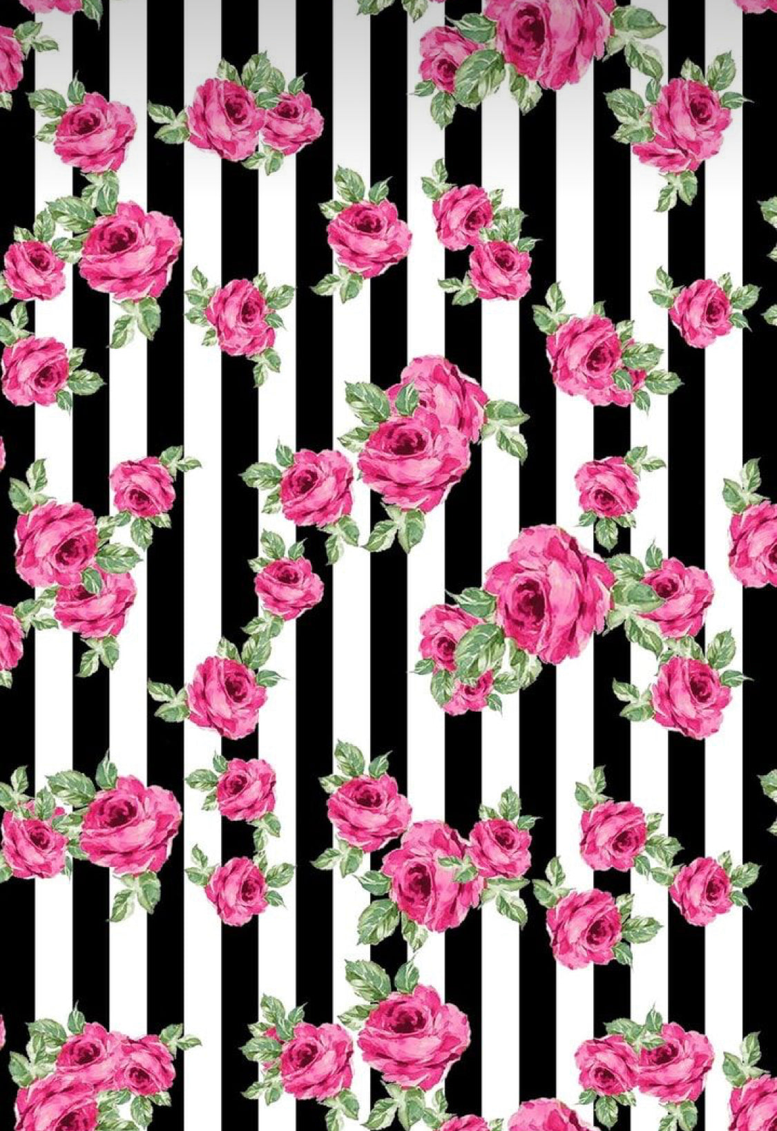 Stripe Roses