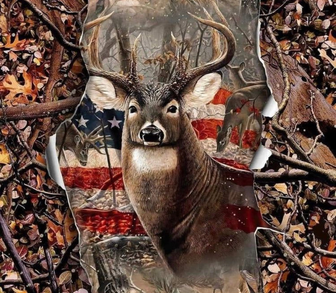 American deer